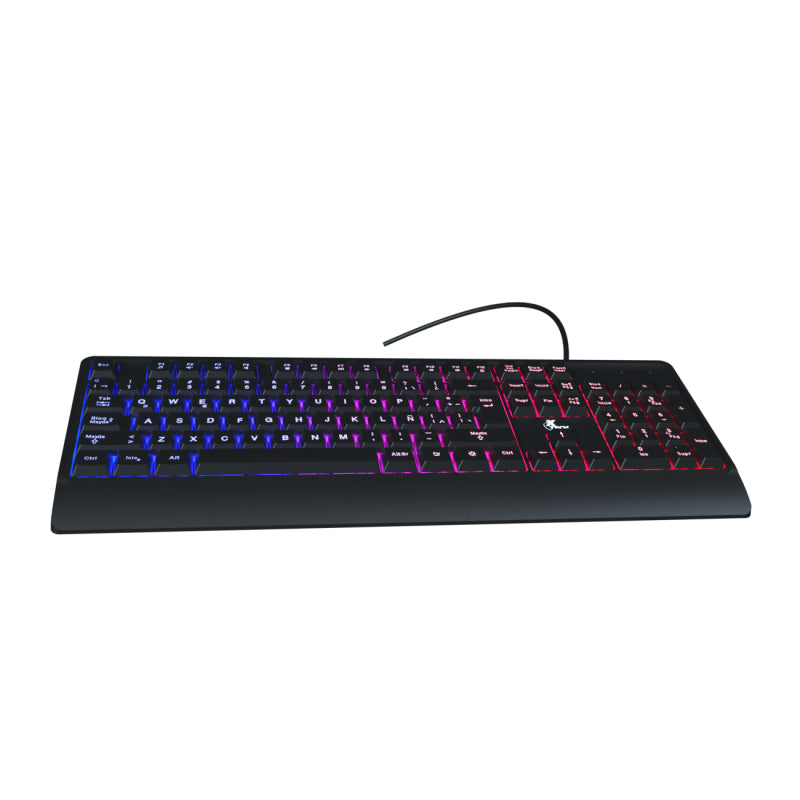Detalle teclado Chevalier